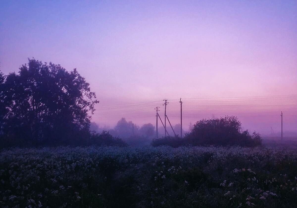 虚拟世界里的粉色视频观看 · 特辑3721