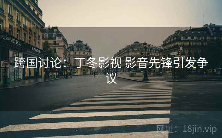 跨国讨论：丁冬影视 影音先锋引发争议