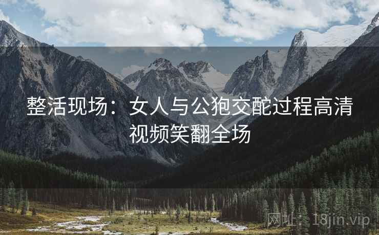 整活现场:女人与公狍交酡过程高清视频笑翻全场